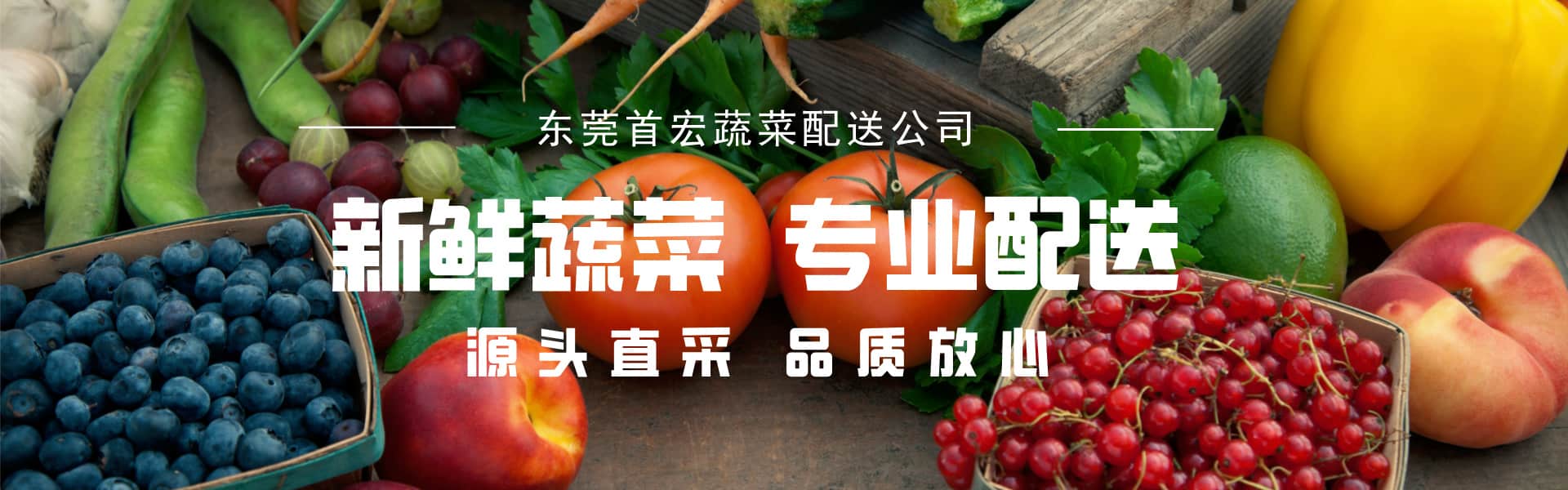 深圳蔬菜配送,蔬菜生鮮配送,蔬菜專(zhuān)業(yè)配送公司